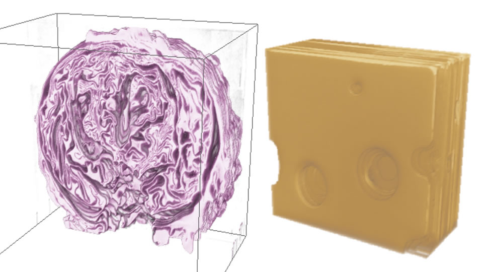 3-D rendering of red cabbage and Swiss cheese