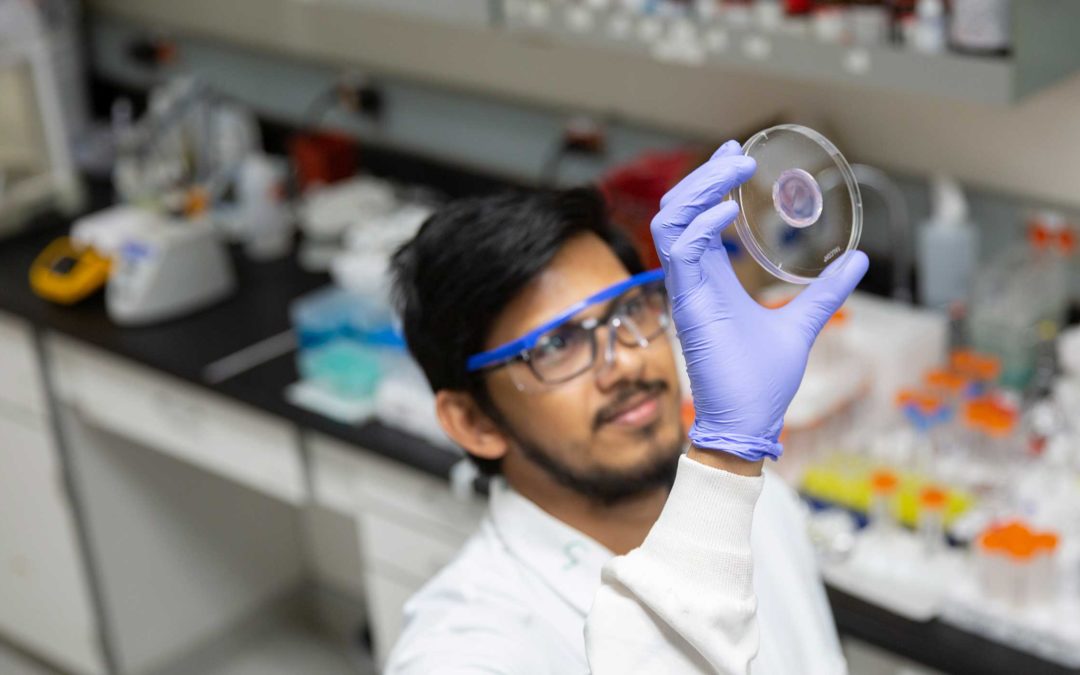 Subhadeep Dutta, a chemistry doctoral student, holds up a petri dish to the light