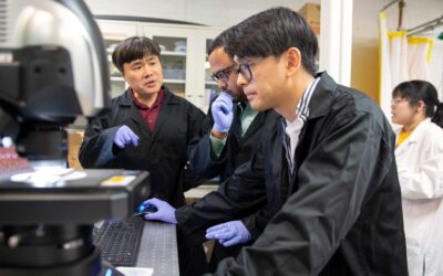 Bending the rules: ASU students spearhead graphene-metal inventions